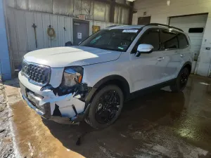 Kia Telluride 3.8L 6 2025