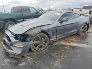 Ford Mustang 5.0L 8 2021