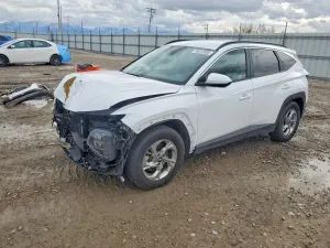 Hyundai Tucson 2.5L 4 2024