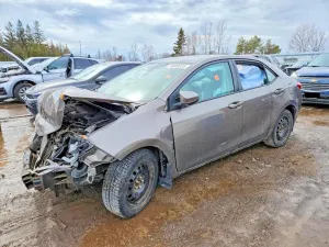 Toyota Corolla 1.8L 4 2019