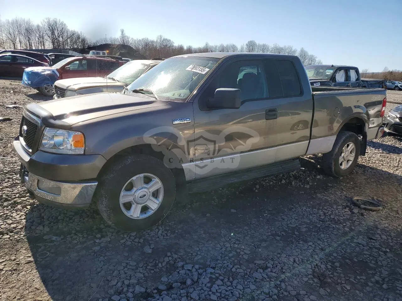 Ford F-150 5.4L 8 2004