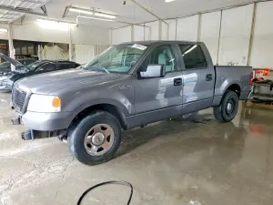 Ford F-150 4.6L 8 2007