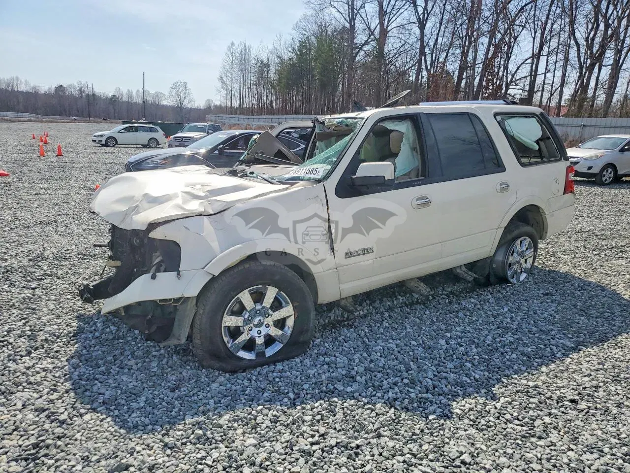Ford Expedition 5.4L 8 2007