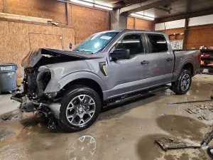 Ford F-150 5.0L 8 2024