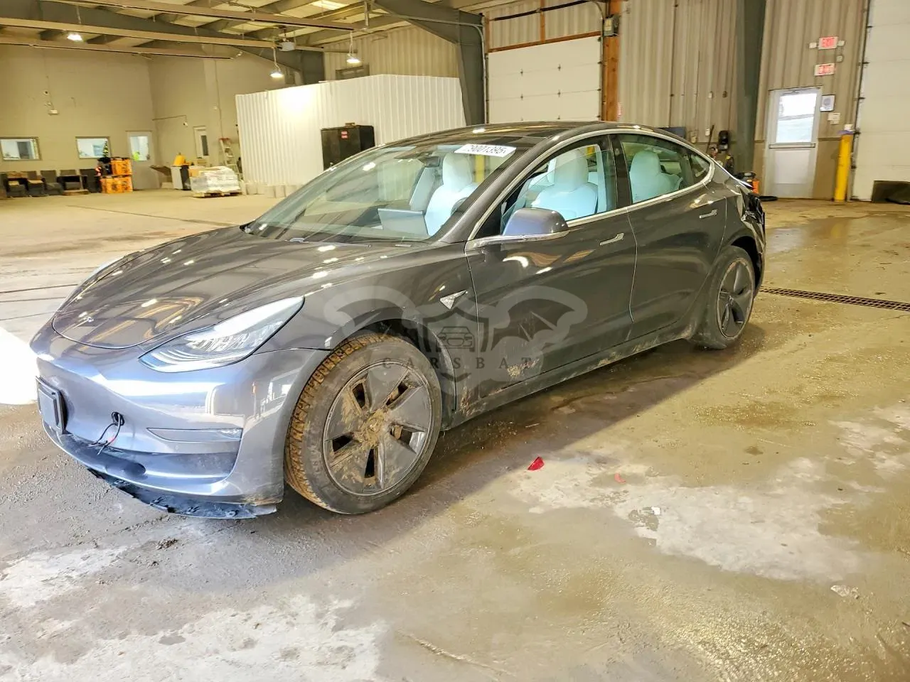 Tesla Model 3 2019