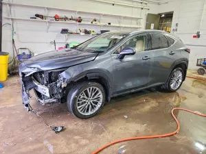 Lexus NX 2.4L 4 2025