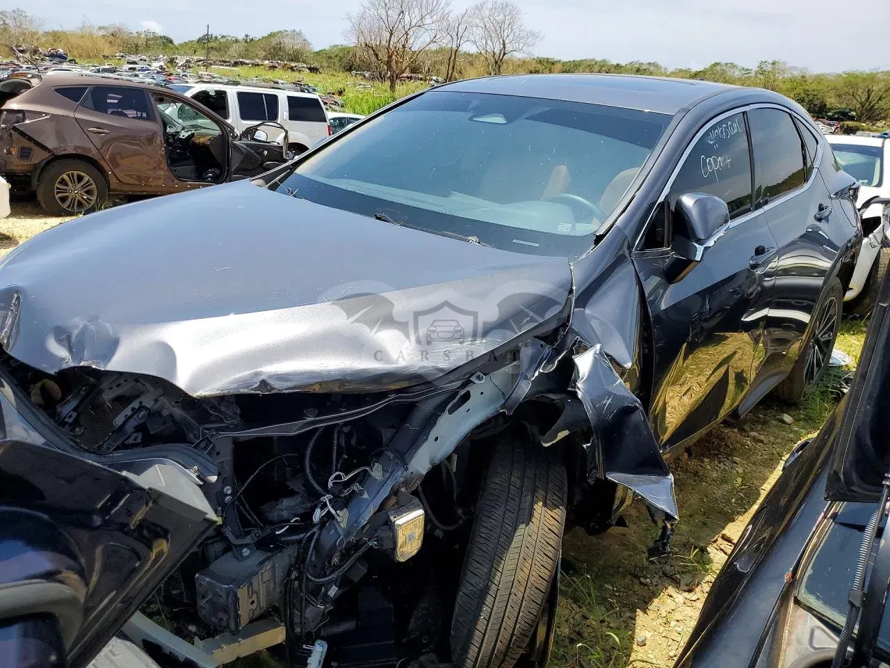 Lexus NX 2.5L 4 2024