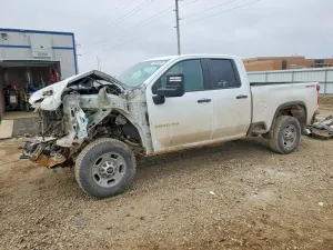 Chevrolet Silverado 1500 6.6L 8 2021