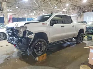 Chevrolet Silverado 1500 5.3L 8 2019