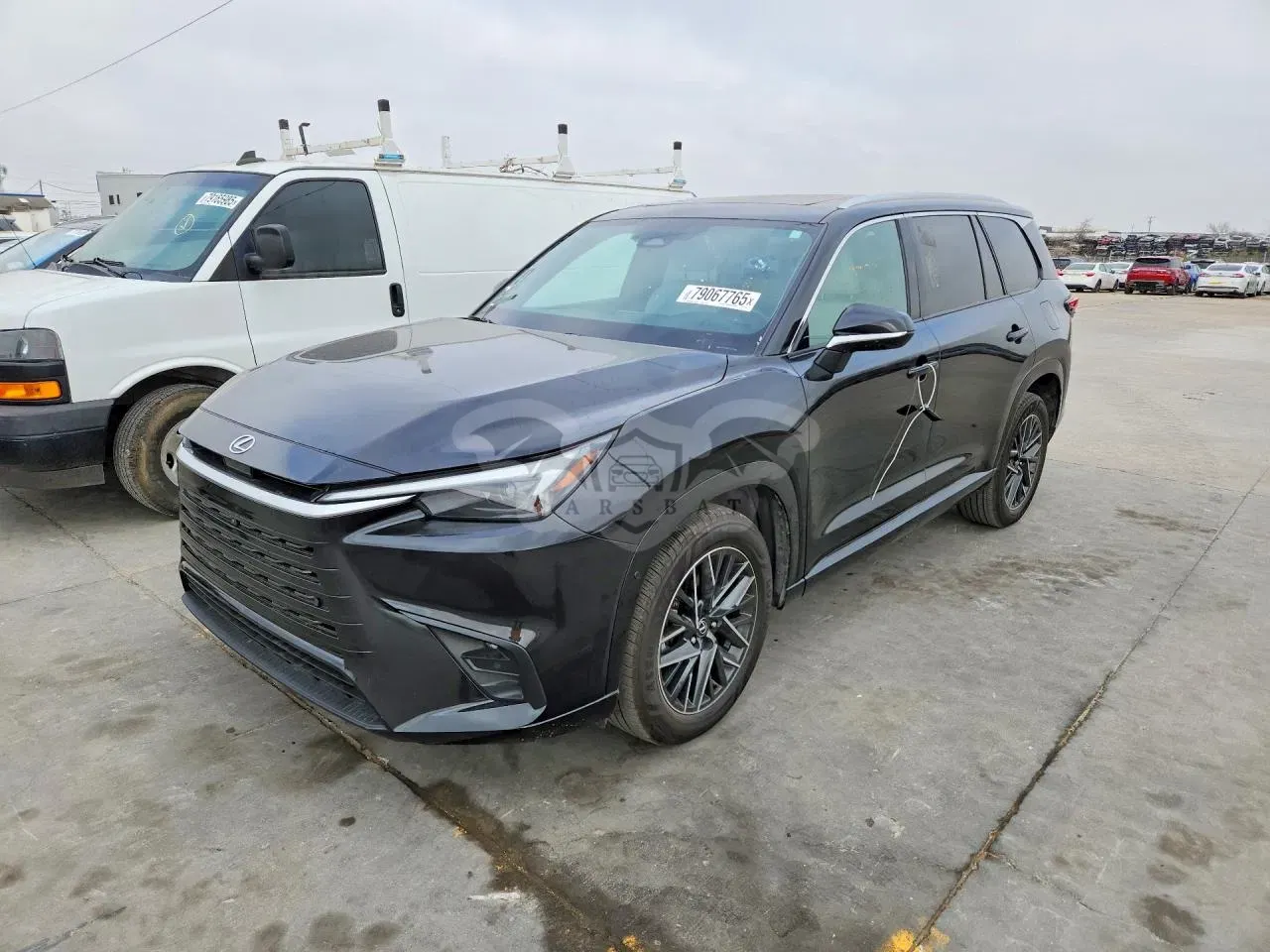 Lexus TX Series 2024