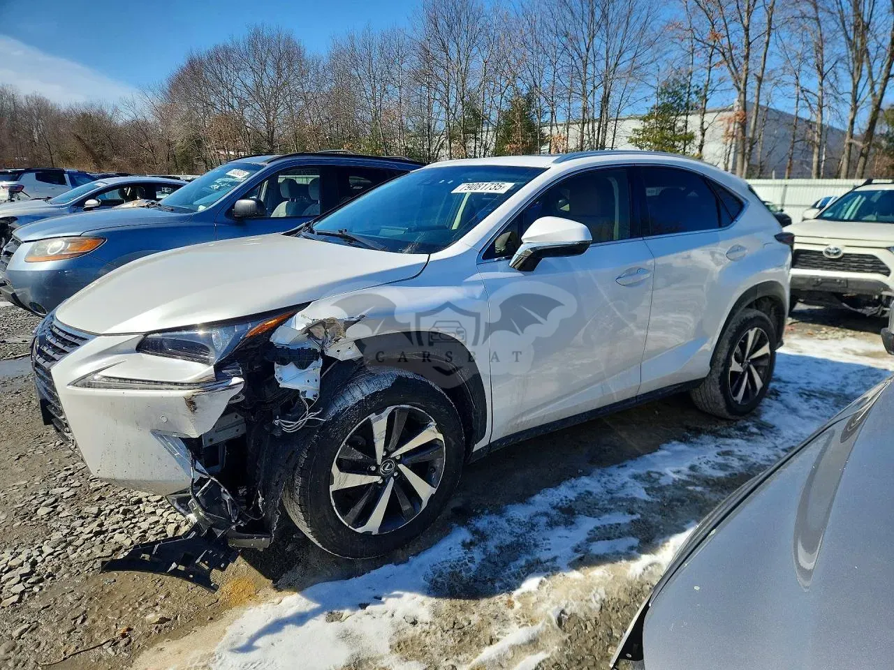 Lexus NX 2019