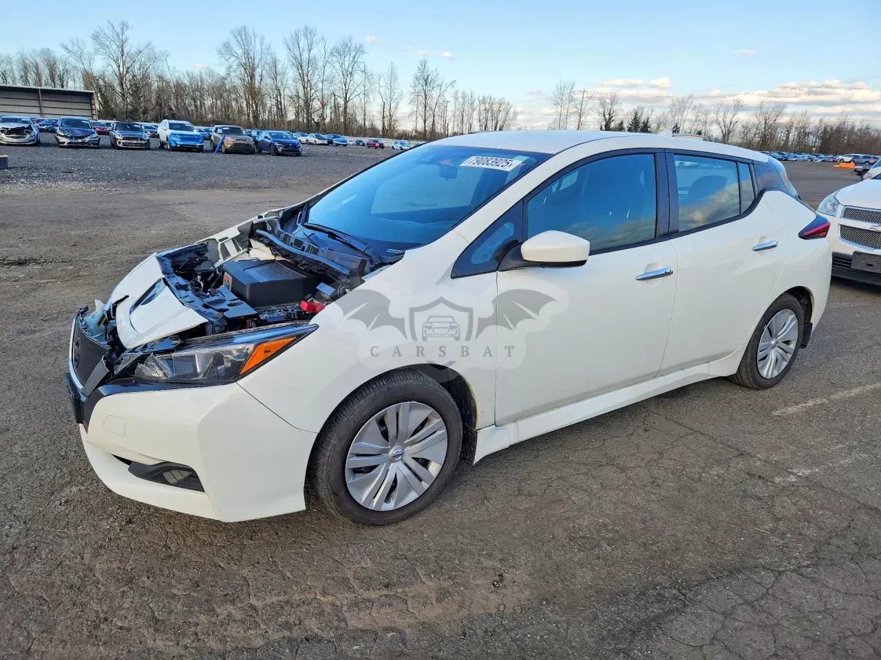 Nissan Leaf 0.0L 0 2022
