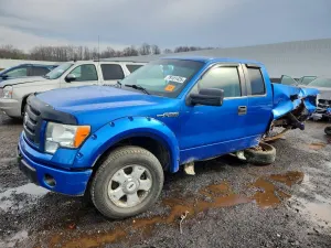 Ford F-150 4.6L 8 2010