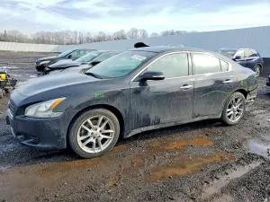 Nissan Maxima 3.5L 6 2011