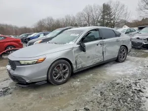 Honda Accord 1.5L 4 2024