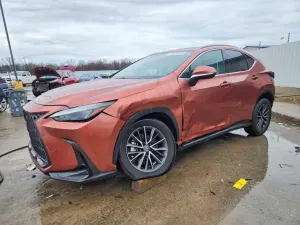 Lexus NX 2.4L 4 2025