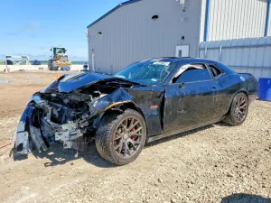 Dodge Challenger 6.4L 8 2015