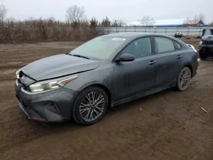 Kia Cerato / Forte / K3 2.0L 4 2023