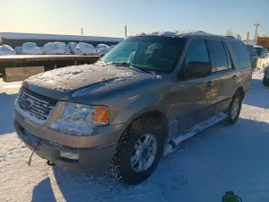 Ford Expedition 5.4L 8 2003