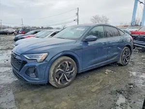 Audi Q8 e-tron 2024