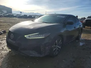 Nissan Maxima 3.5L 6 2019
