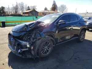 Lexus NX 2.5L 4 2024