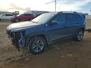 Jeep Cherokee 2.0L 4 2019