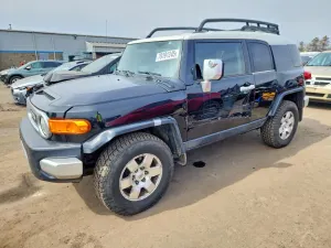Toyota FJ Cruiser 4.0L 6 2007