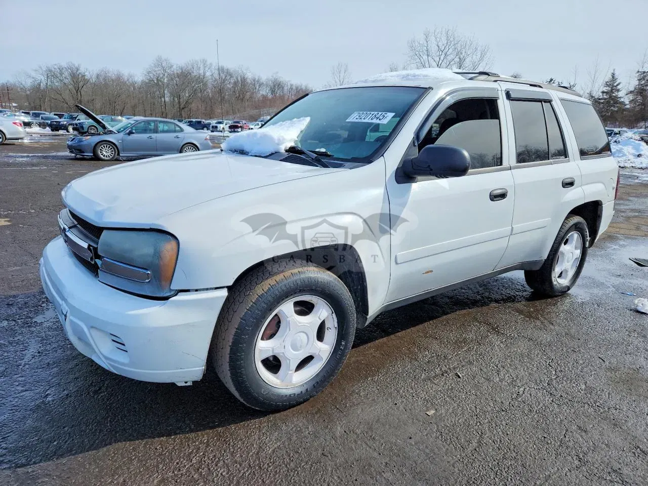 Chevrolet Trailblazer 4.2L 6 2008