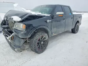 Ford F-150 5.4L 8 2007