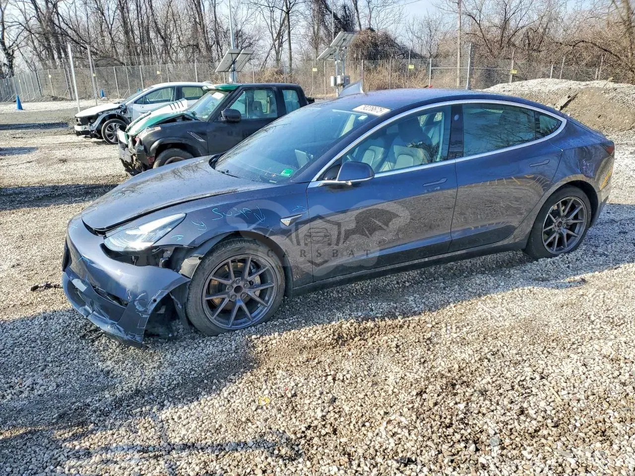 Tesla Model 3 2019