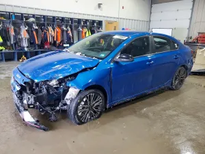 Kia Cerato / Forte / K3 2.0L 4 2022
