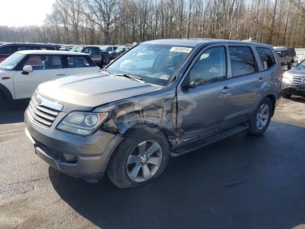 Kia Borrego (Mohave) 4.6L 8 2009