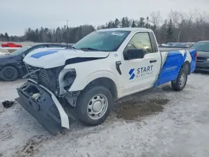 Ford F-150 5.0L 8 2024