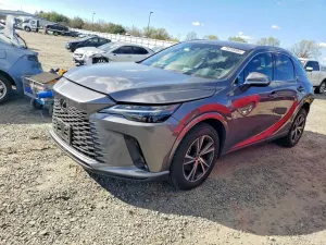 Lexus RX 2.4L 4 2023