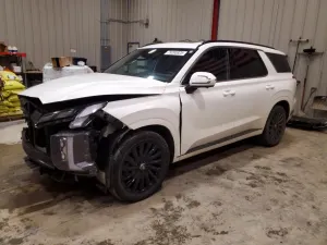 Hyundai Palisade 3.8L 6 2024