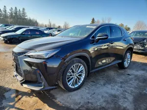 Lexus NX 2.4L 4 2023