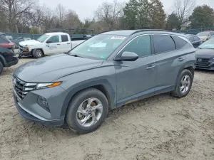 Hyundai Tucson 2.5L 4 2024