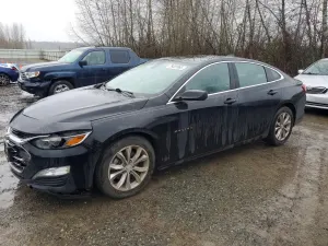 Chevrolet Malibu 1.5L 4 2020