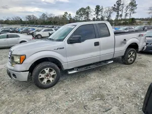 Ford F-150 4.6L 8 2009