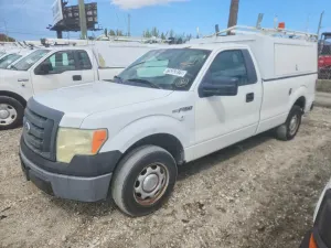 Ford F-150 4.6L 8 2010