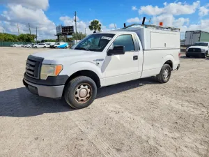 Ford F-150 4.6L 8 2010