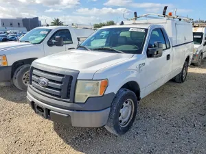Ford F-150 4.6L 8 2010