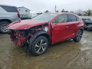 Lexus NX 2.0L 4 2019