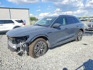 Audi Q8 e-tron 2024