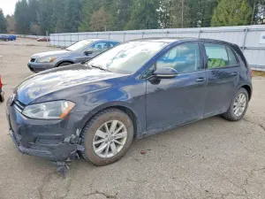 Volkswagen Golf 1.8L 4 2015