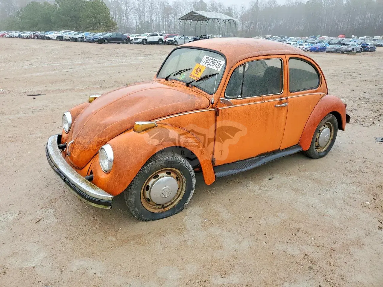 Volkswagen Beetle 1974