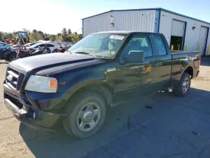Ford F-150 4.6L 8 2007
