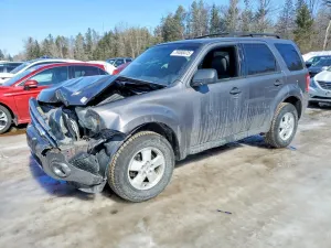 Ford Escape 2.5L 4 2010
