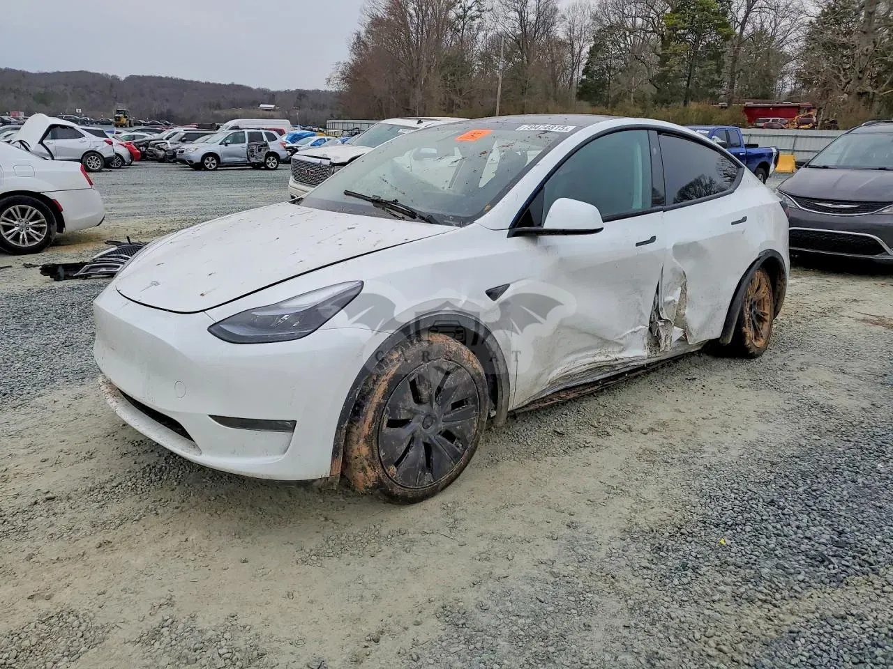 Tesla Model Y 2024